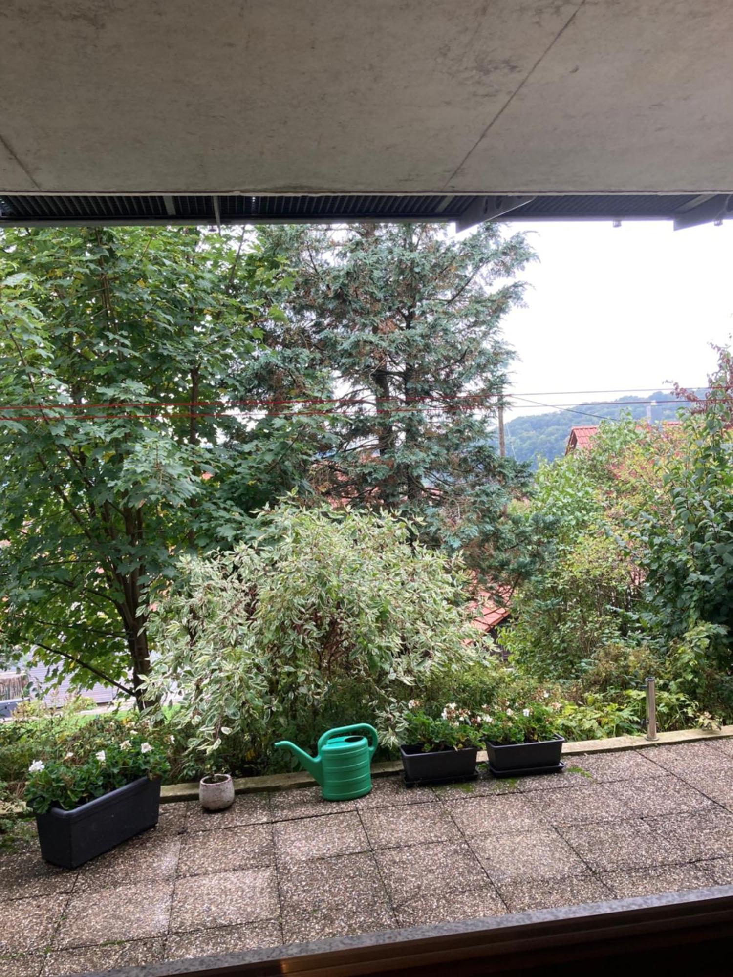 Lichtdurchflutete Ferienwohnung Sankt Johann  Екстериор снимка
